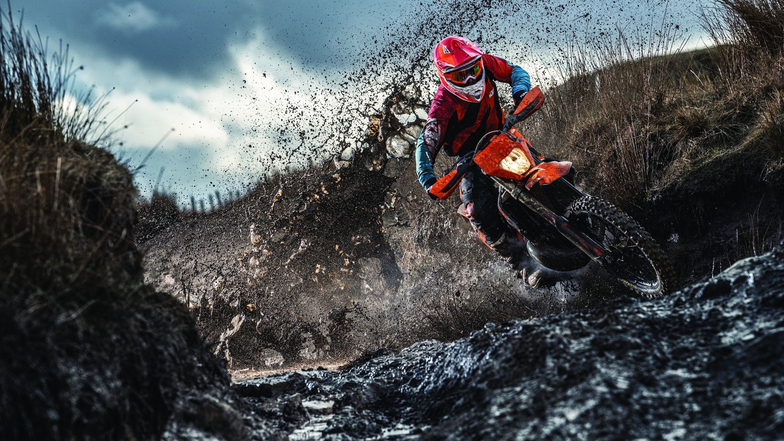 爱游戏电竞下载-特色山地越野自行车赛，穿越林海峡谷的速度盛宴，山地越野自行车比赛